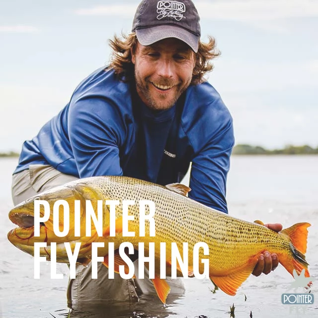 Pointer Fly Fishing