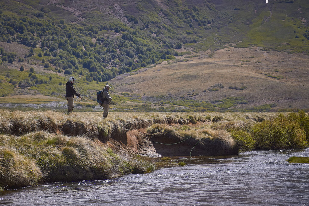 Hunting Adventure in Argentina
