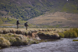 Hunting Adventure in Argentina