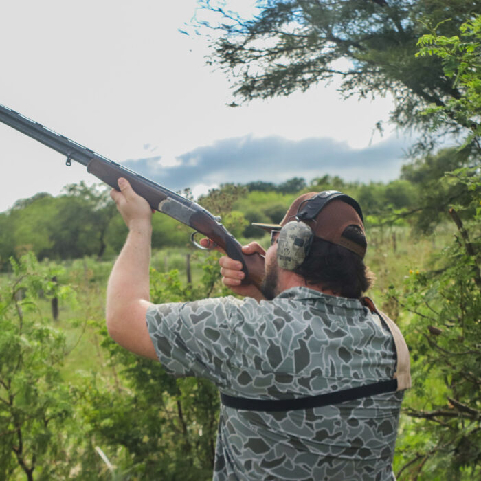 pointer-6
