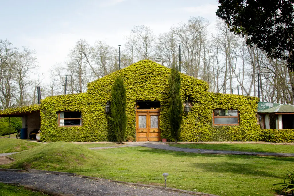Ivy-covered Rosy Billed Lodge facade with a central wooden entrance and lawn