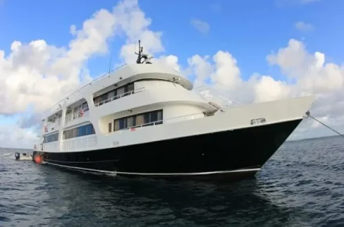 AVALON-FLEET-II.webp