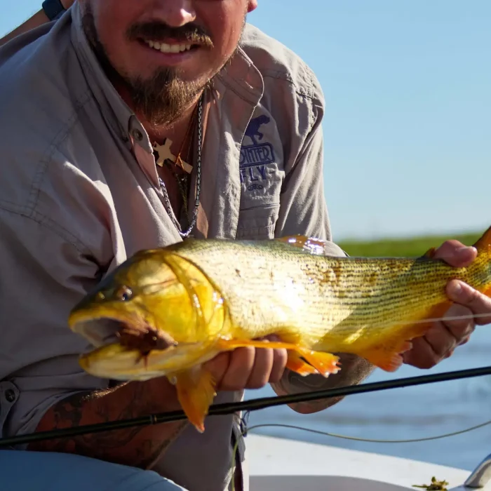 Golden-Dorado-41-scaled.jpg