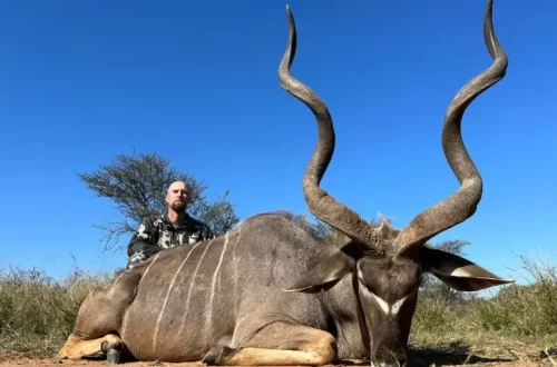 KUDU.webp