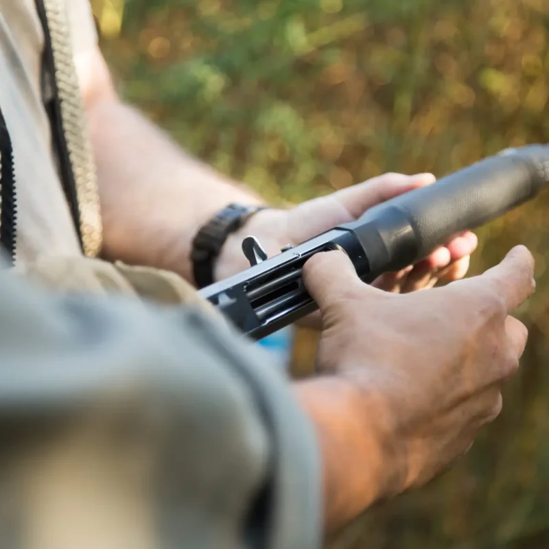 Pointer-71-scaled-1.jpg