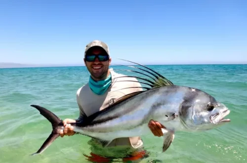 ROOSTERFISH.webp