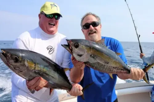 TUNA.webp