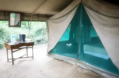 Tanzania.webp