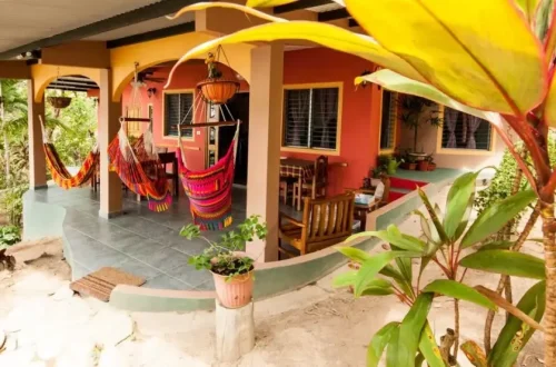 Tucan.webp