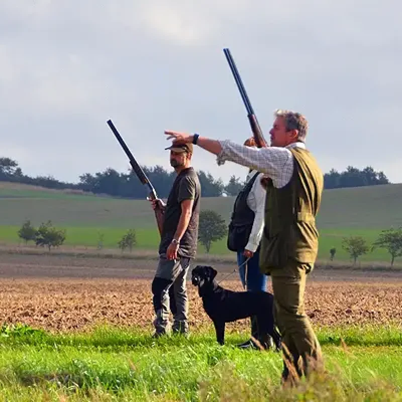 geese-partridge-pheasant-duck-rough-shooting-south-sweden.jpg-24-large.jpg